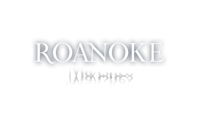 Roanoke Marshes