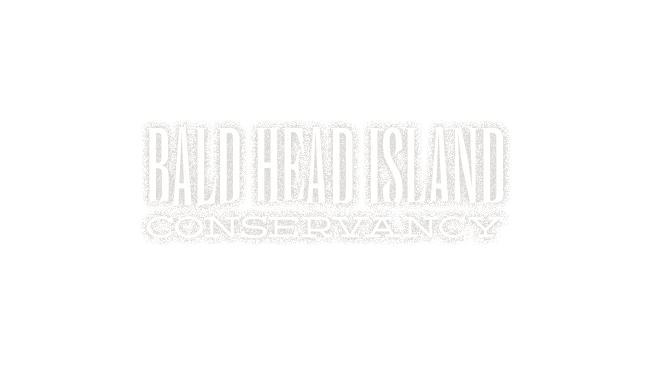 Bald Head Island Conservancy
